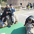 平川動物園