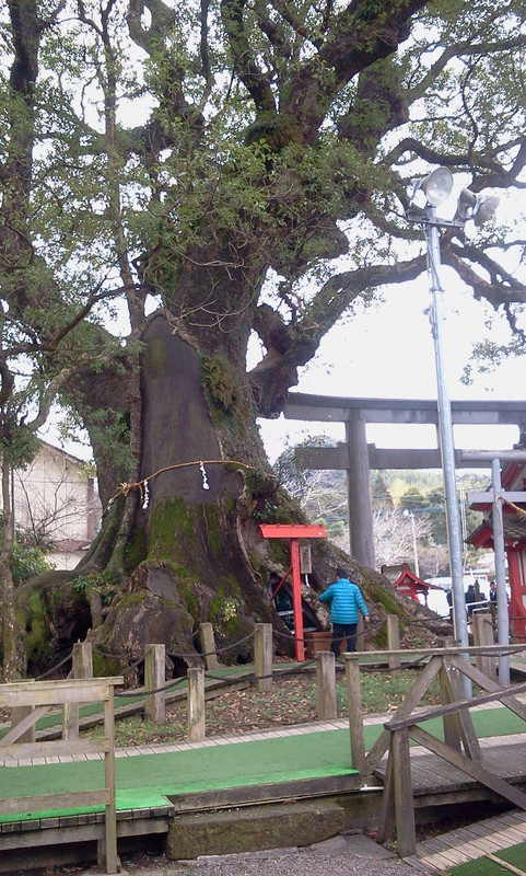 明けましておめでとうございます。