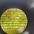 20260617_110747