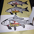 Photo_2