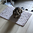 Img20261022071252