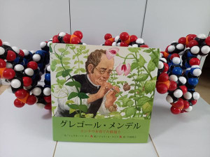 450313837_25802555499392463_1700395