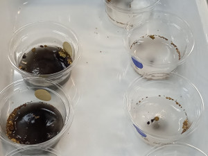 20241211_080911 20241211_080911