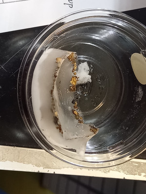 20241211_080940 20241211_080940