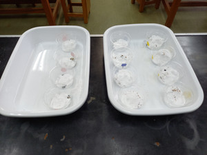 20241211_092702 20241211_092702