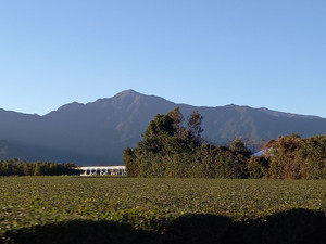 20250101_162134 20250101_162134