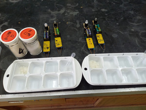 486390396_28898924146422234_1117779