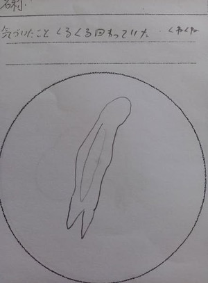 491402103_28990291563952158_1973738