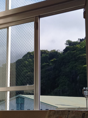 20250421_075438 20250421_075438