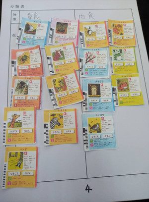 493918954_29089020384079275_1383522