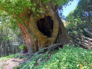 493235515_29115359634778683_3563182 493235515_29115359634778683_3563182