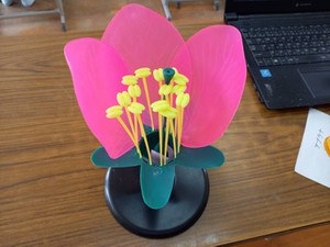 493542468_29115075891473724_7805835 493542468_29115075891473724_7805835