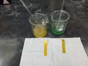 493555121_29115073848140595_6483398 493555121_29115073848140595_6483398