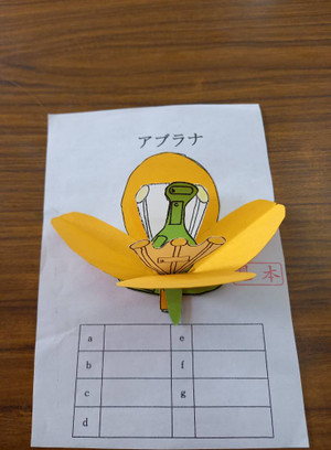 493849625_29115075404807106_8358703 493849625_29115075404807106_8358703