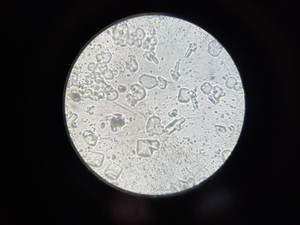 493861524_29115074388140541_6604339 493861524_29115074388140541_6604339