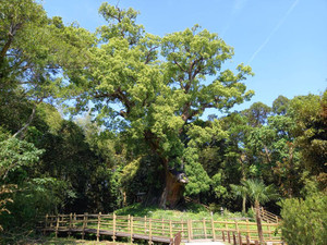 494180484_29115061438141836_1283098 494180484_29115061438141836_1283098