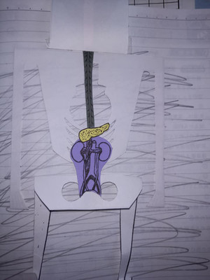 208610530_5622725064468804_76305342