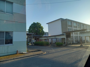 20250502_181307 20250502_181307