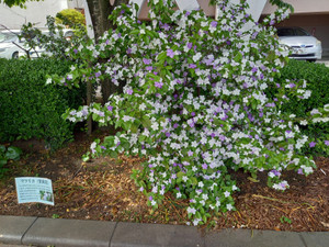 20250507_092759 20250507_092759