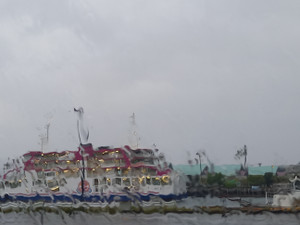 20250509_063948 20250509_063948