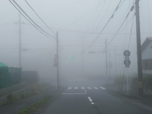 20250524_142331 20250524_142331