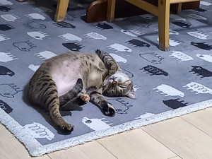 20250528_191014 20250528_191014