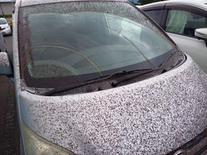 20250529_155442 20250529_155442