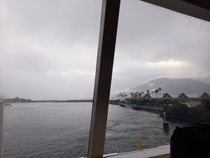 20250530_065535 20250530_065535