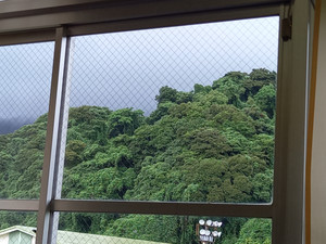 20250610_162013 20250610_162013