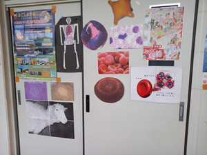 20250626_153901 20250626_153901