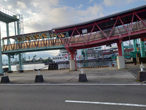 20250627_064851 20250627_064851