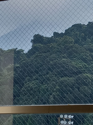 20250702_075600 20250702_075600