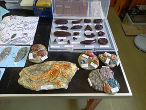 20250724_122532 20250724_122532