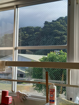 20250806_081651 20250806_081651