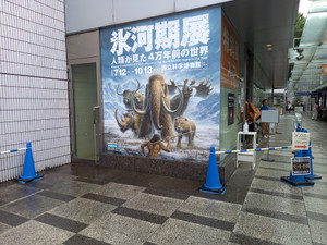 20250801_141258 20250801_141258