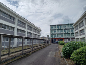 20250809_141950 20250809_141950