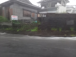 20250821_171200 20250821_171200