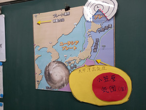 267696313_6495281520546483_33894704