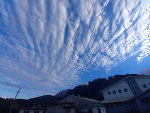 20251118_073029 20251118_073029