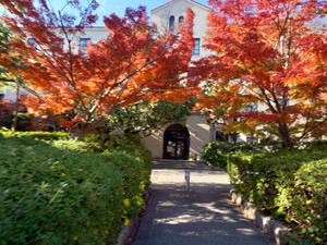 20251129_130515 20251129_130515