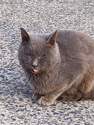 20251209_154719 20251209_154719