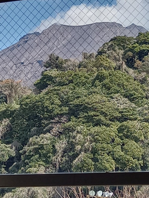 20260309_114018 20260309_114018