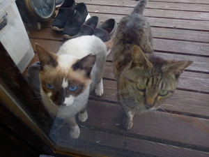 20260503_125922