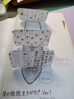 20260526_141641