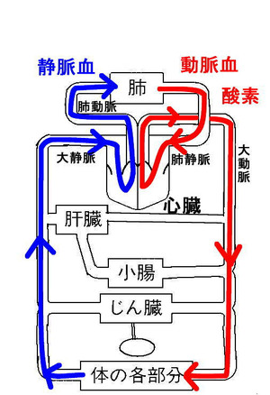 Ketuekijyunnkan