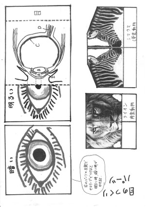 Eye2026