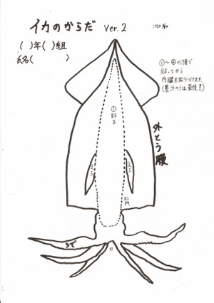 Ika01