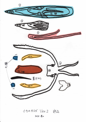 Ika02