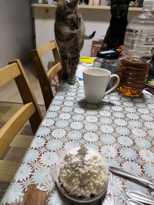 Img20260801212745
