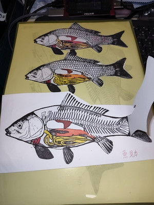Photo_2